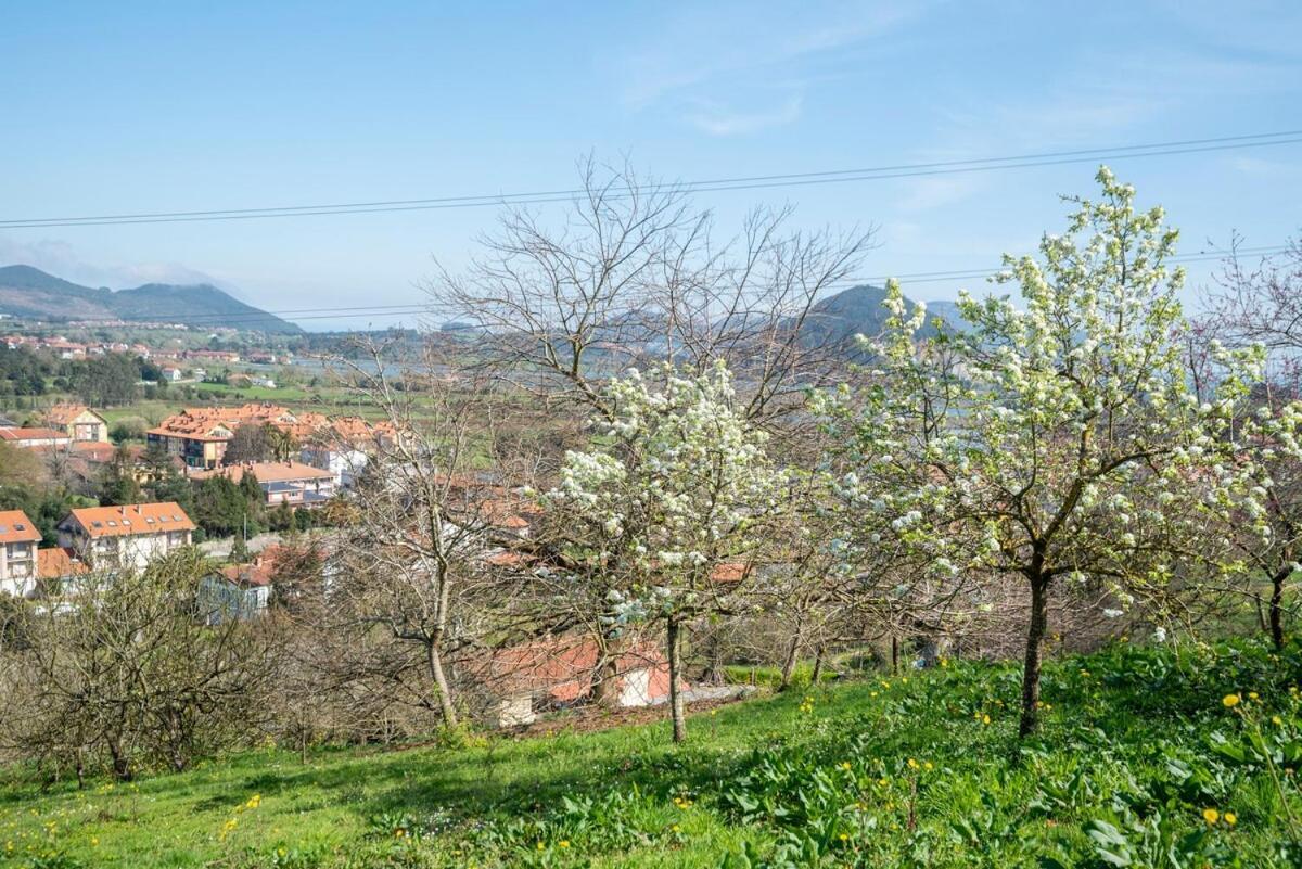 Bárcena de CiceroCasa Con Jardin En Gama别墅 外观 照片